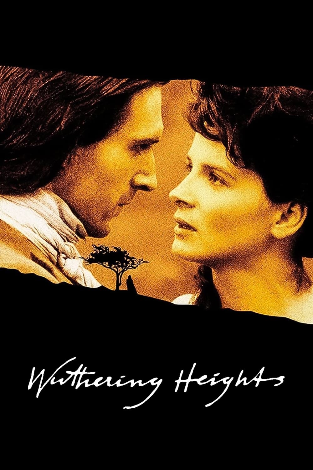 Постер Буремний перевал